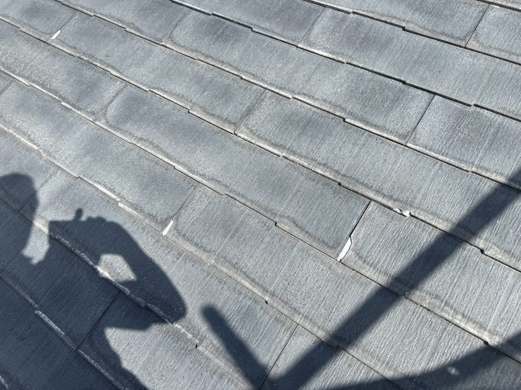 塗装不可 パミール